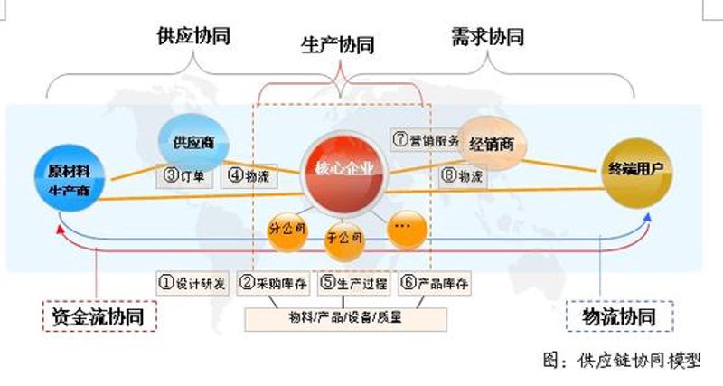 上海贸易公司的注册资本为何选择3万元?